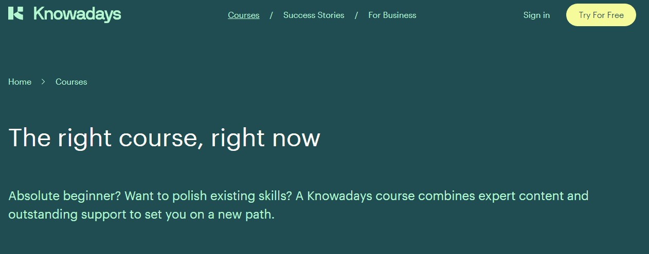 Knowadays Review