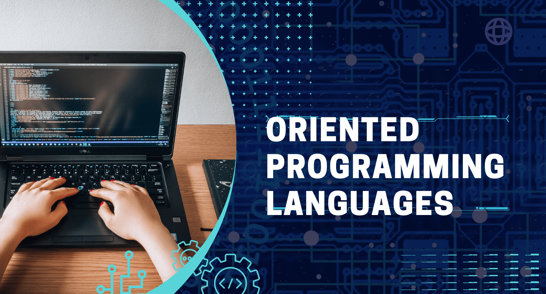What Are Object Oriented Programming Languages?